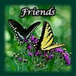 friends link menu